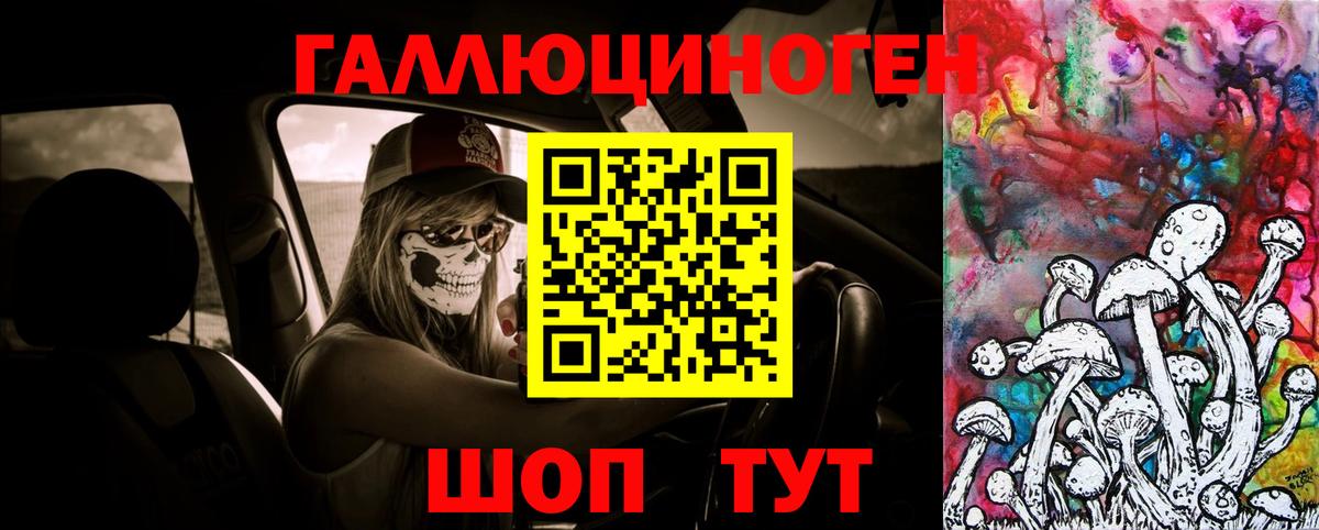 Галлюциногенные грибы Psilocybine cubensis Гулькевичи